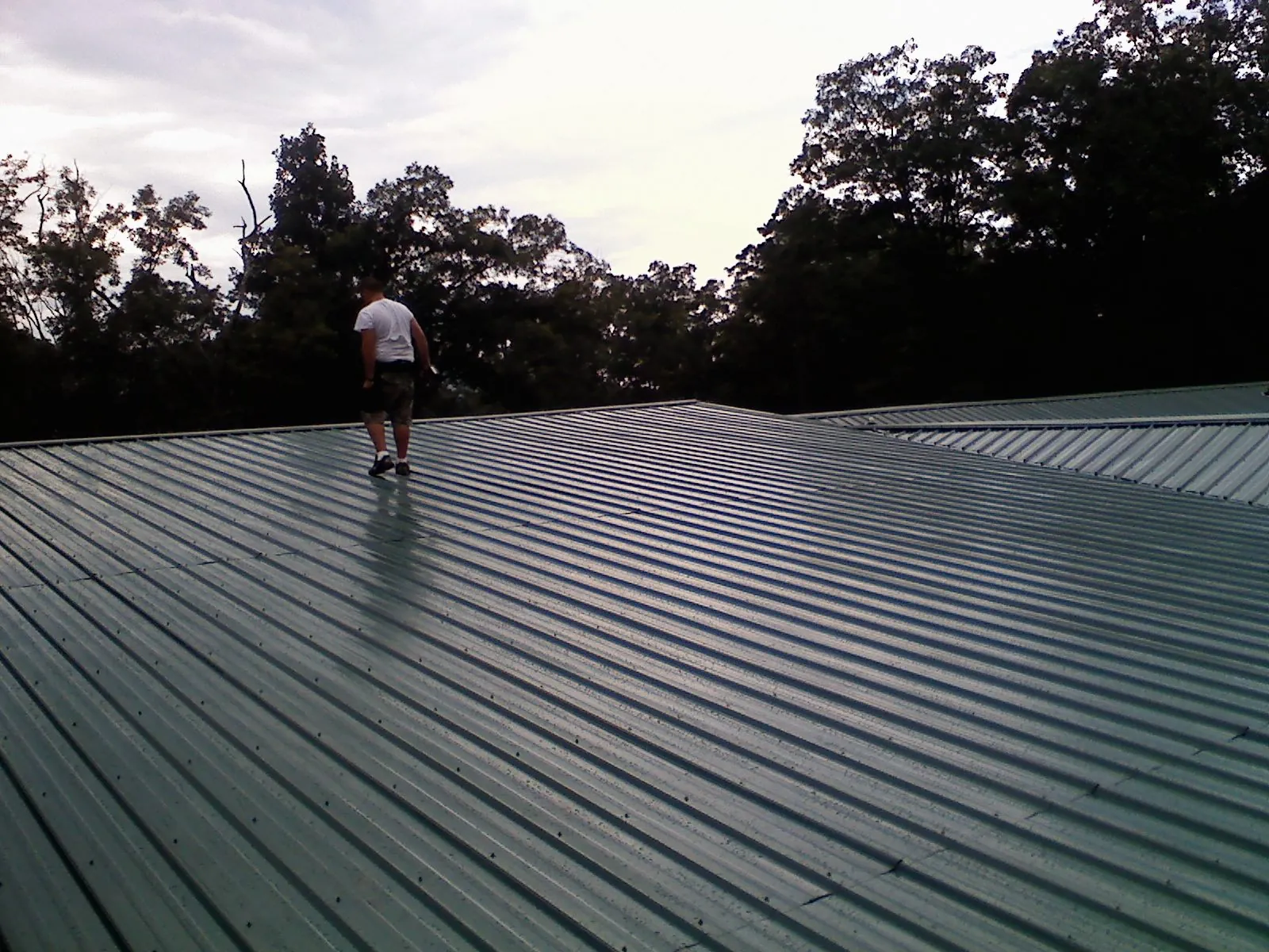 Roofer walking a wide expanse of new green metal roofing in West Roxbury